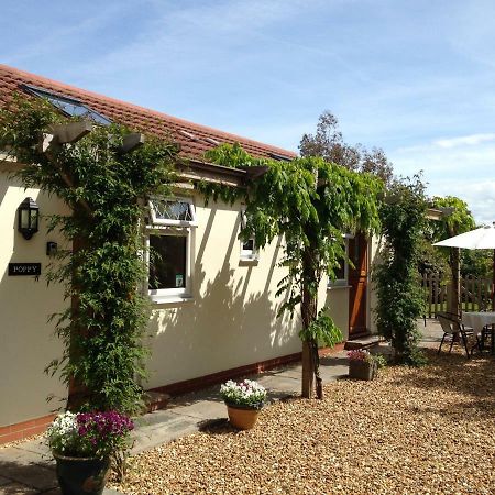 Ashford House B&B Wells Buitenkant foto