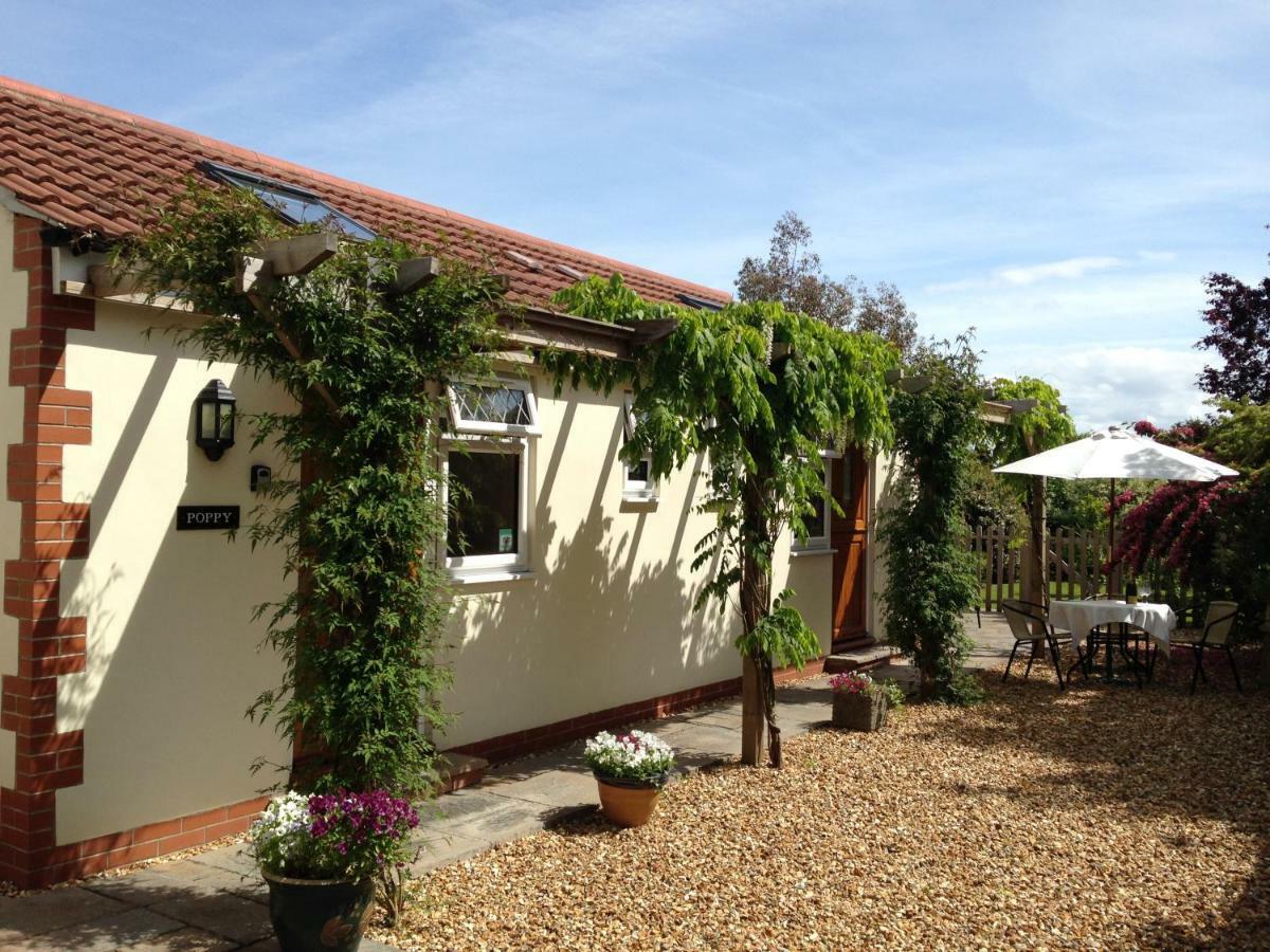 Ashford House B&B Wells Buitenkant foto